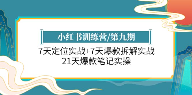 小红书训练营/第九期：7天定位实战+7天爆款拆解实战，21天爆款笔记实操-诸葛网创