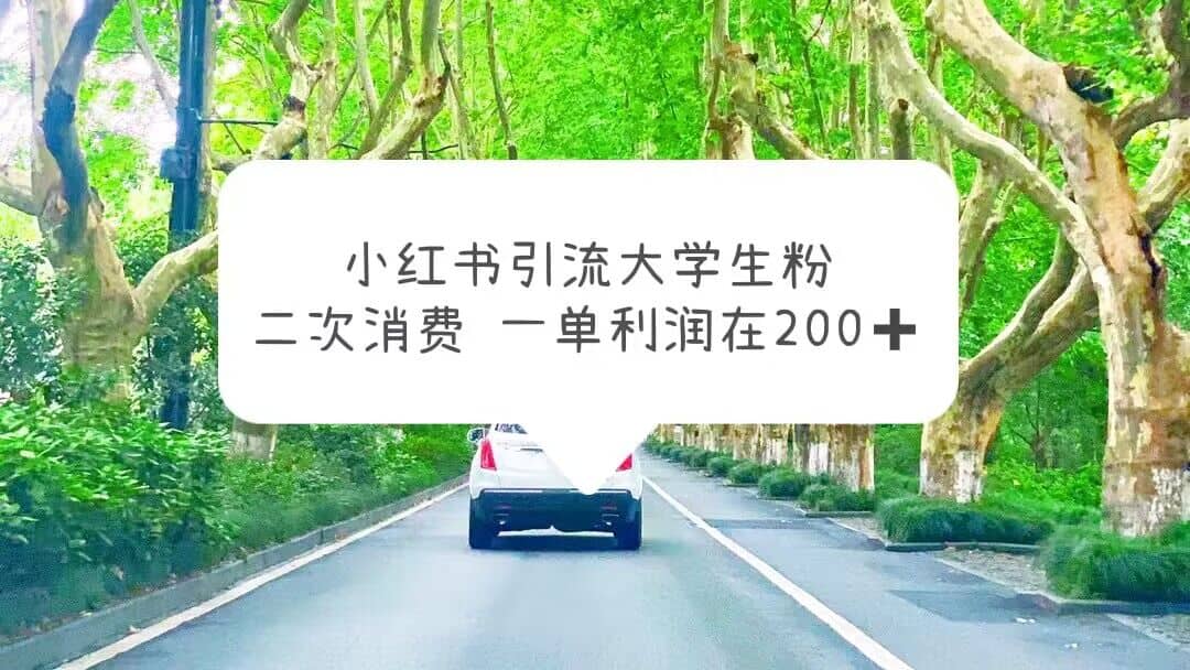 小红书引流大学生粉，变现项目，一单利润在200+（教程+资源）-诸葛网创