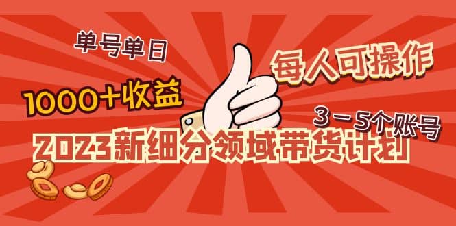 2023新细分领域带货计划：单号单日1000+收益不难，每人可操作3-5个账号-诸葛网创