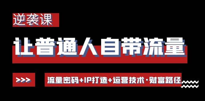 让普通人自带流量的逆袭课：流量密码+IP打造+运营技术·财富路径-诸葛网创