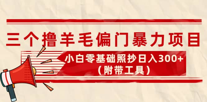 外面卖998的三个撸羊毛项目，小白零基础照抄（附带工具）-诸葛网创