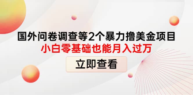 国外问卷调查等2个暴力撸美元项目，小白零基础也能月入过万-诸葛网创