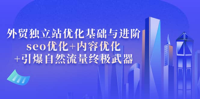 外贸独立站优化基础与进阶，seo优化+内容优化+引爆自然流量终极武器-诸葛网创