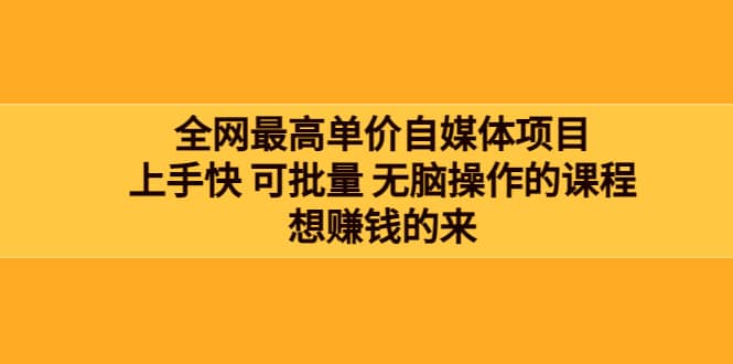 全网最单高价自媒体项目：上手快 可批量 无脑操作的课程，想赚钱的来-诸葛网创