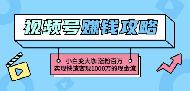 玩转微信视频号赚钱：小白变大咖涨粉百万实现快速变现1000万的现金流-诸葛网创