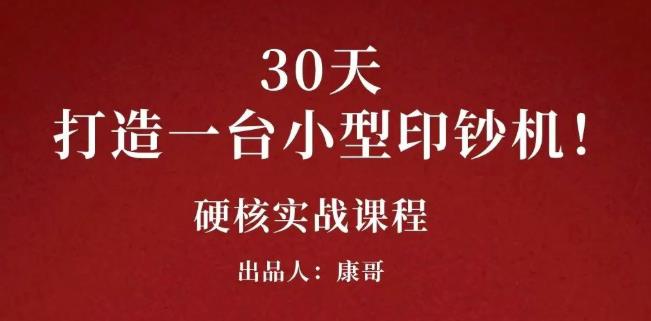 康哥30天打造一台小型印钞机：躺赚30万的项目完整复盘（视频教程）-诸葛网创