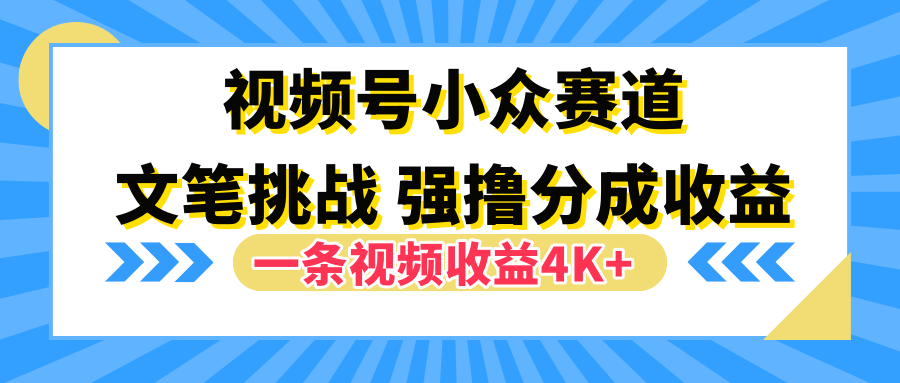 视频号小众赛道，文笔挑战，一条视频收益4K+-诸葛网创