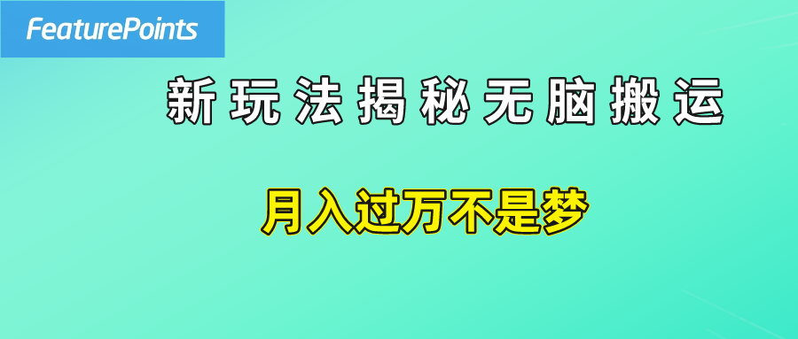 简单操作，每天50美元收入，搬运就是赚钱的秘诀！-诸葛网创