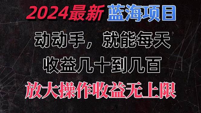 有手就行的2024全新蓝海项目，每天1小时收益几十到几百，可放大操作收…-诸葛网创