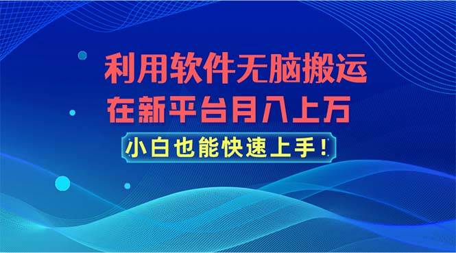 利用软件无脑搬运，在新平台月入上万，小白也能快速上手-诸葛网创