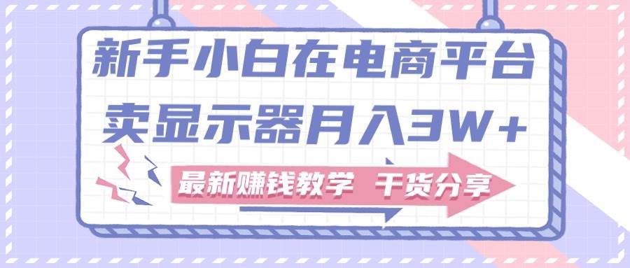 新手小白如何做到在电商平台卖显示器月入3W+，最新赚钱教学干货分享-诸葛网创