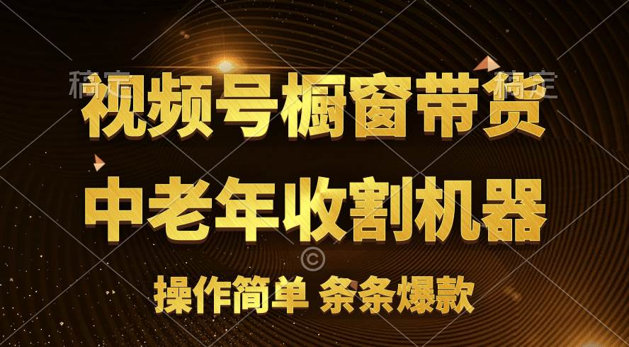 [你的孩子成功取得高位]视频号最火爆赛道，橱窗带货，流量分成计划，条…-诸葛网创