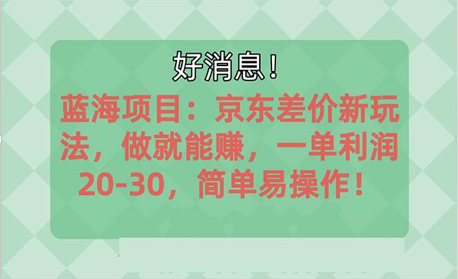 越早知道越能赚到钱的蓝海项目：京东大平台操作，一单利润20-30，简单…-诸葛网创