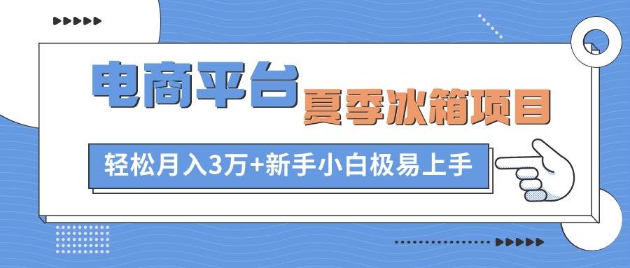 电商平台夏季冰箱项目，轻松月入3万+，新手小白极易上手-诸葛网创