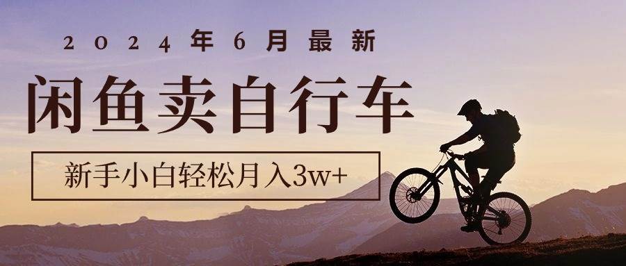 2024年6月最新闲鱼卖自行车，新手小白轻松月入3w+项目-诸葛网创