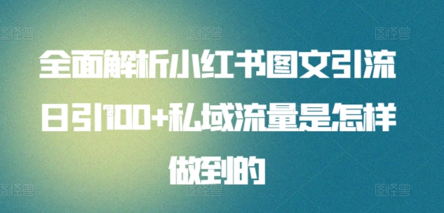 日引流100私域流量小红书图文是怎样做到的全面解析-诸葛网创