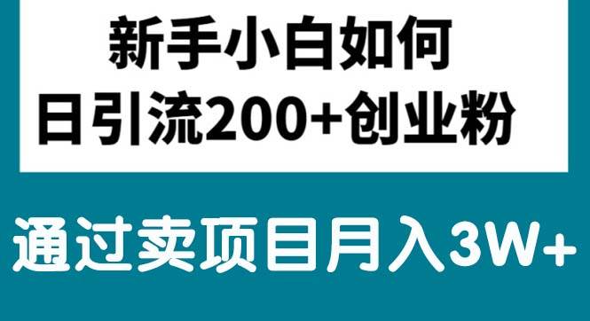 新手小白日引流200+创业粉,通过卖项目月入3W+-诸葛网创