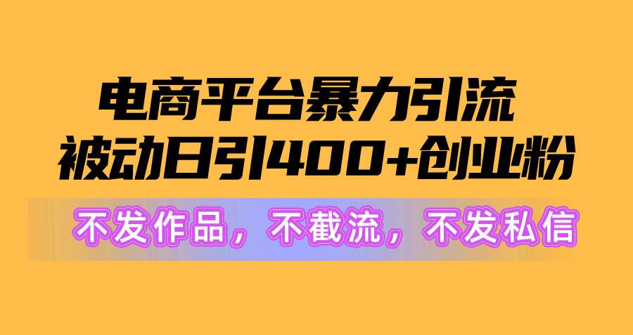 电商平台暴力引流,被动日引400+创业粉不发作品，不截流，不发私信-诸葛网创